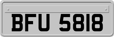 BFU5818