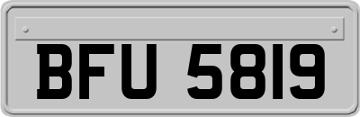 BFU5819