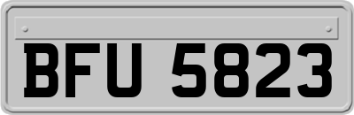 BFU5823