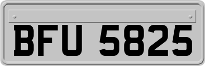 BFU5825