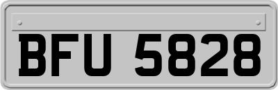 BFU5828