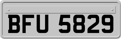 BFU5829