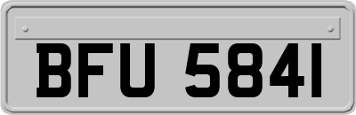 BFU5841