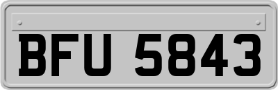 BFU5843
