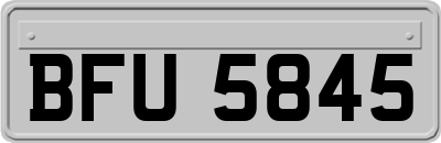 BFU5845