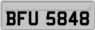 BFU5848
