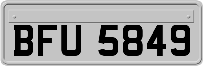 BFU5849