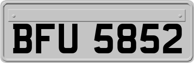 BFU5852