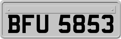 BFU5853