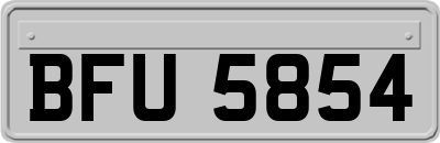 BFU5854