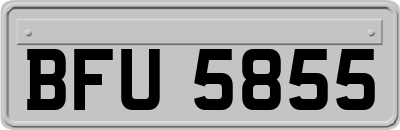 BFU5855