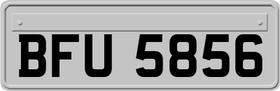BFU5856