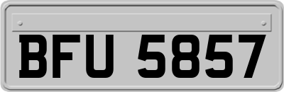 BFU5857