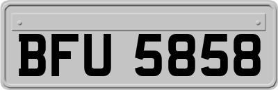 BFU5858