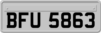 BFU5863