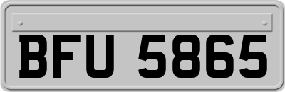 BFU5865