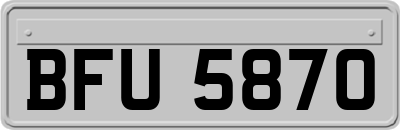 BFU5870