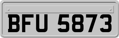 BFU5873