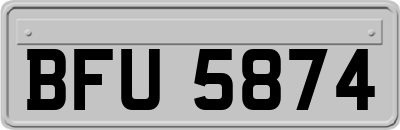 BFU5874