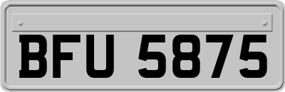 BFU5875
