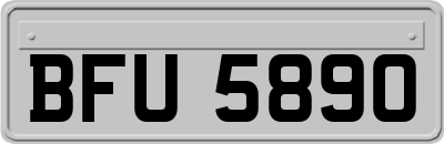 BFU5890