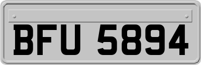 BFU5894