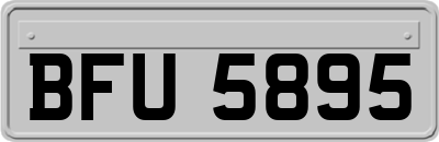 BFU5895