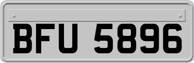 BFU5896