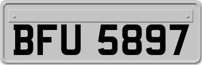 BFU5897