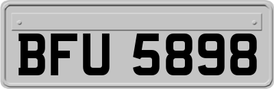 BFU5898