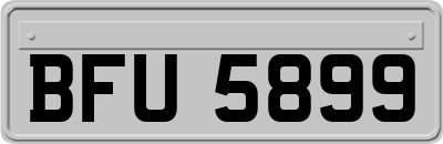 BFU5899