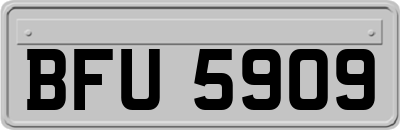 BFU5909