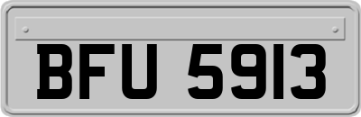 BFU5913