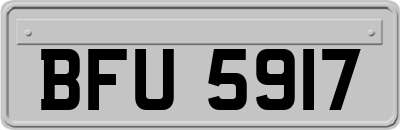 BFU5917