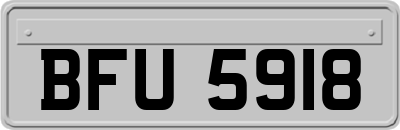 BFU5918