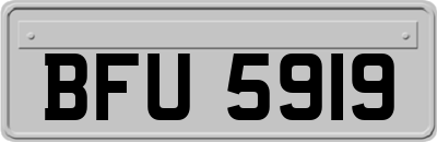 BFU5919