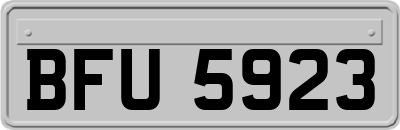 BFU5923
