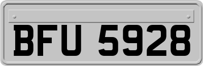 BFU5928