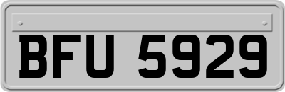 BFU5929