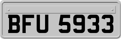 BFU5933