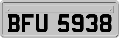 BFU5938