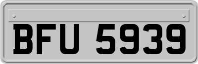 BFU5939