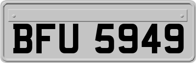 BFU5949
