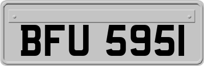 BFU5951