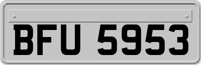 BFU5953