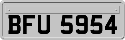 BFU5954