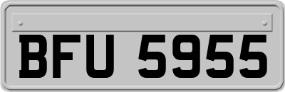 BFU5955
