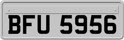BFU5956