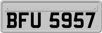 BFU5957