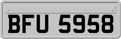BFU5958